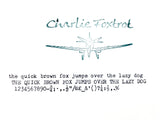 Typewriter, Blue Silver Reed Silverette II
