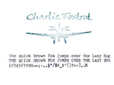 Typewriter, Green Silver Reed