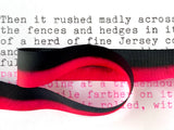 Black and Pink Typewriter Ribbon